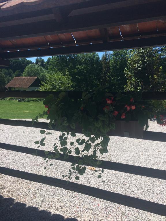 Hotel Gostisce Smuk Križe Exteriér fotografie